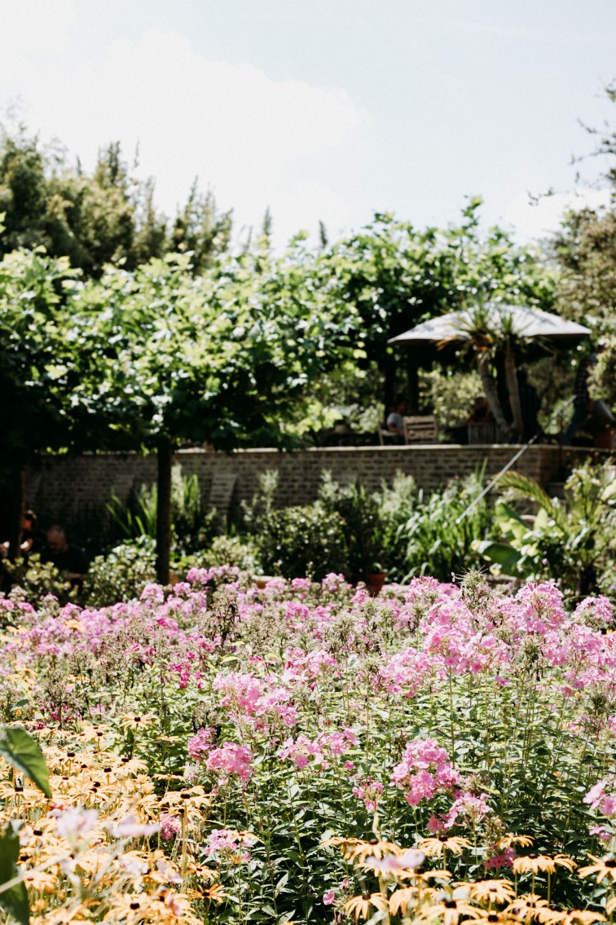 Bloemen in de Millinger Theetuin