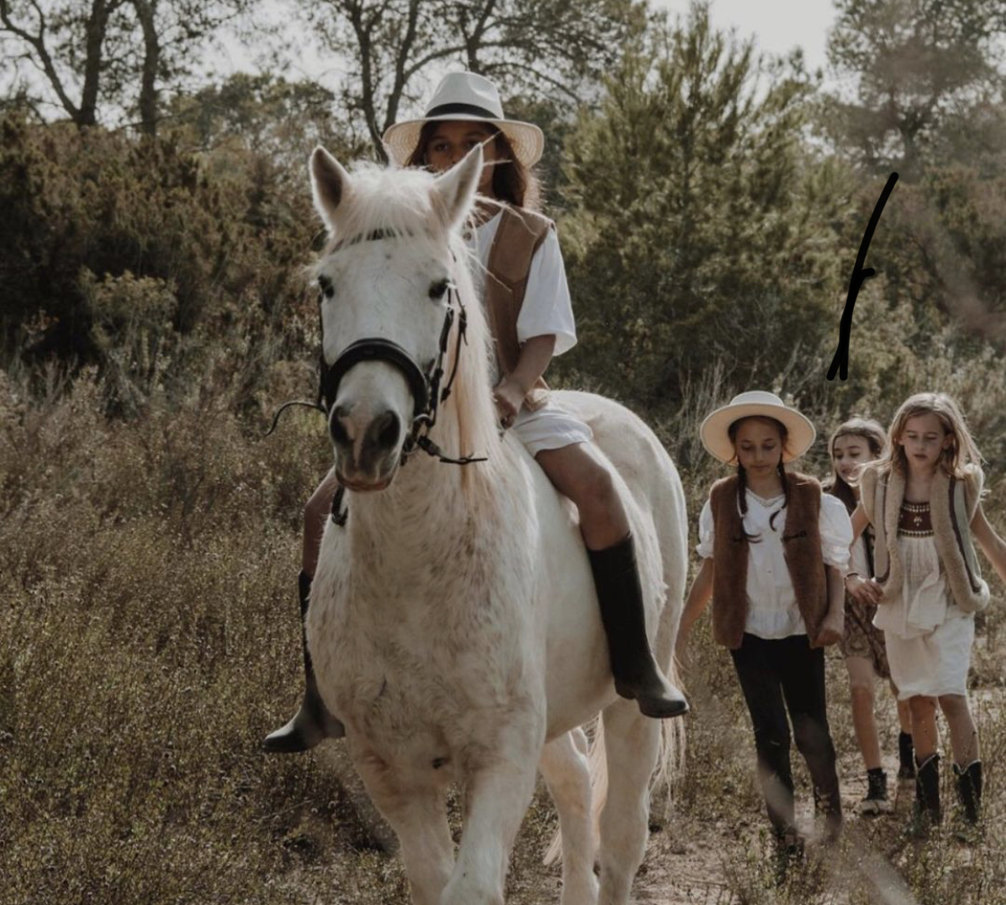 Magical Horses