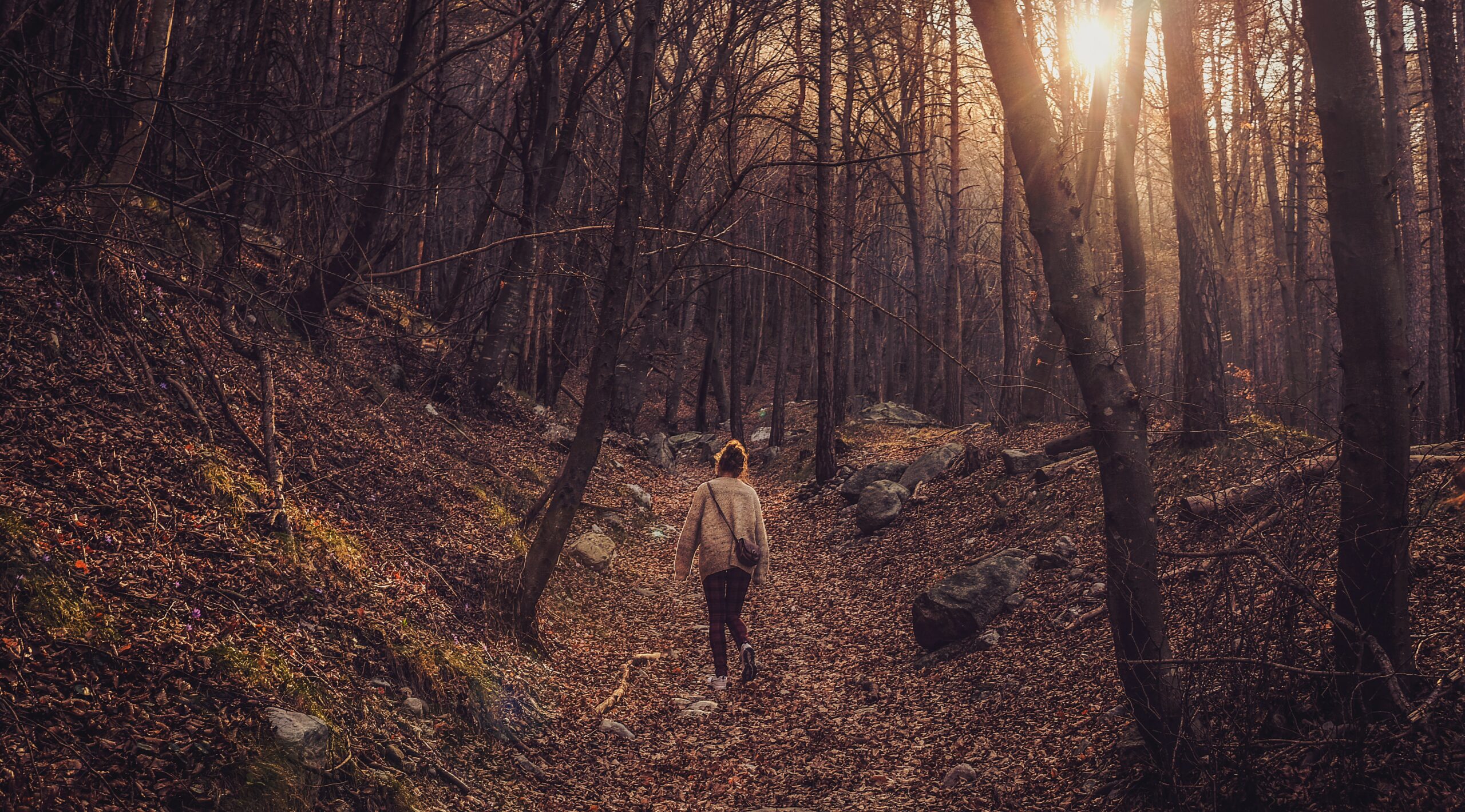 Lekkerste buitenplekken voor een perfecte (herfst)wandeling én je opperbeste dosis take out koffie
