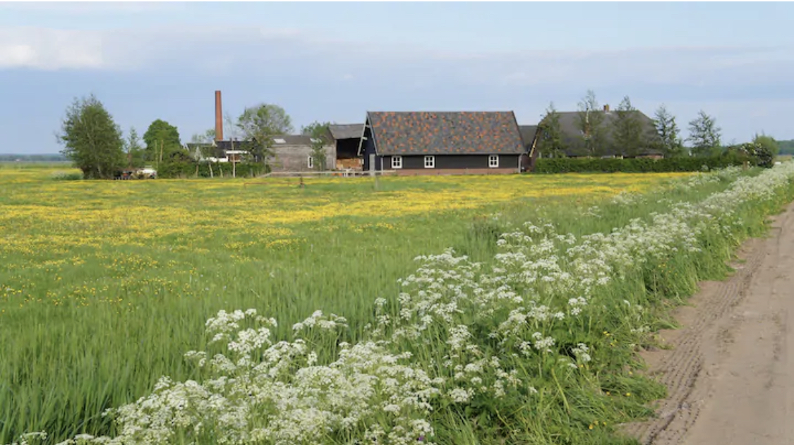 b&b poldergoed