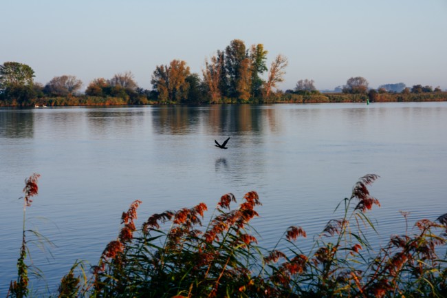 ode aan het landschap - parken