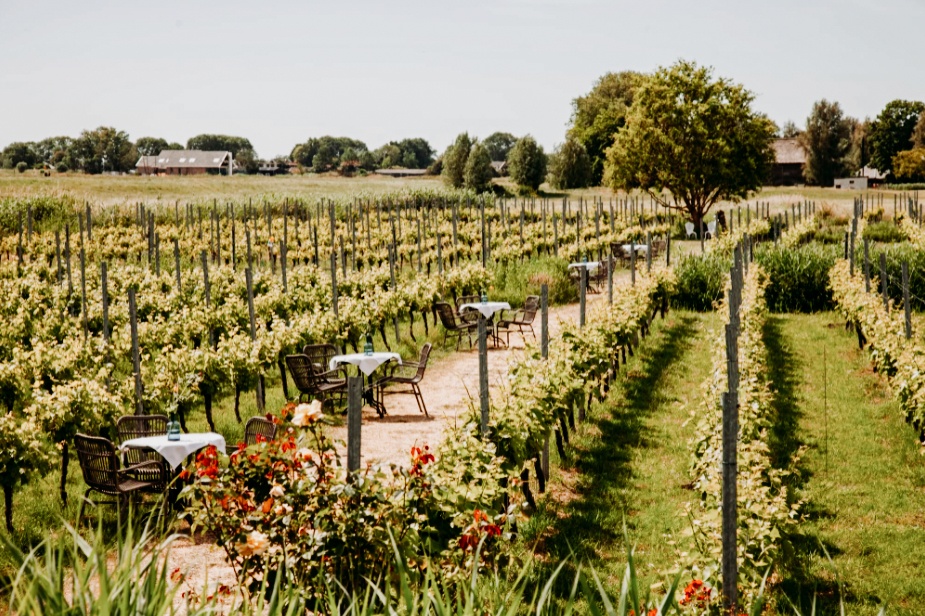 Wijngaard de Amsteltuin Amstelveen
