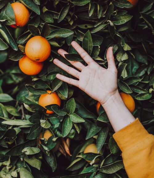 Koningsdag Kids to go: 14 x cadeautjes voor in de grabbelton (bijna allemaal onder de 10 euro!)