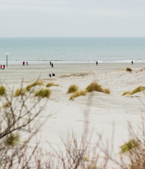 Weekendtips: 21 – 23 januari 2022