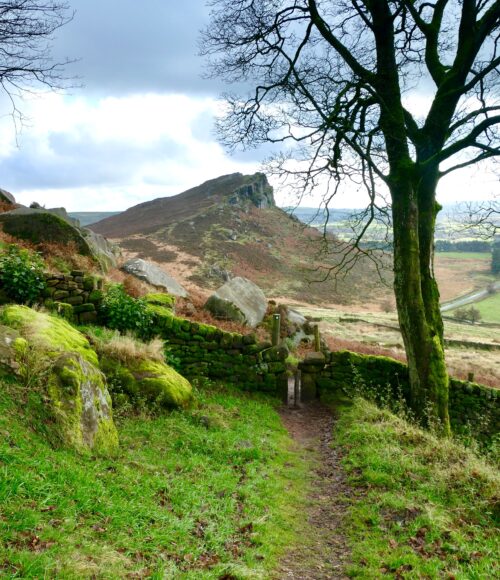 God’s Own Country – het land van All Creatures Great and Small – dat is Yorkshire (Engeland)