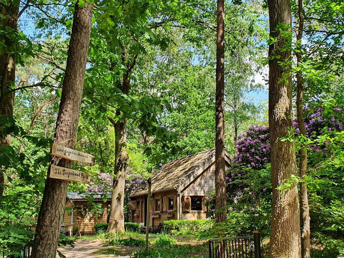 fairytale cabin