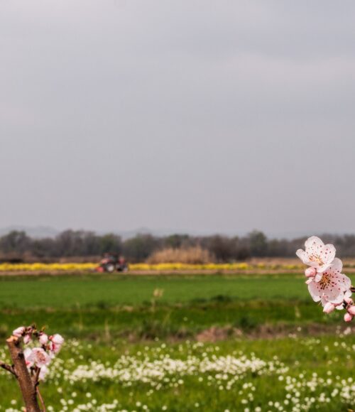 Tuinklussen voor mei (2021): aan de slag