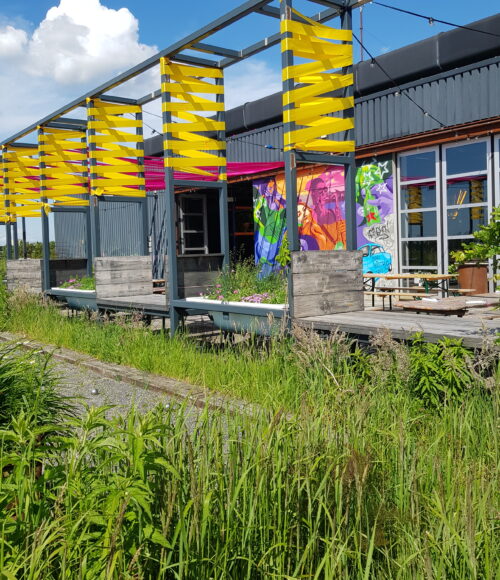Kop in de zon op het grootste dakterras bij Bar Bistro Bureau in Amsterdam