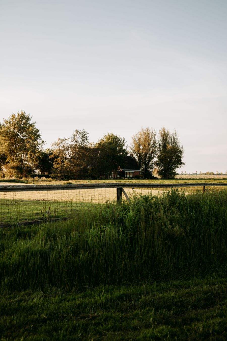 Het uitzicht