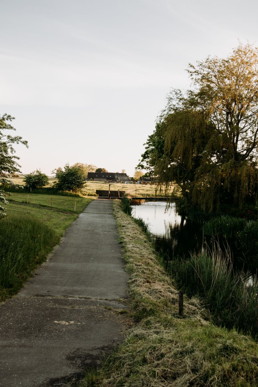 De omgeving