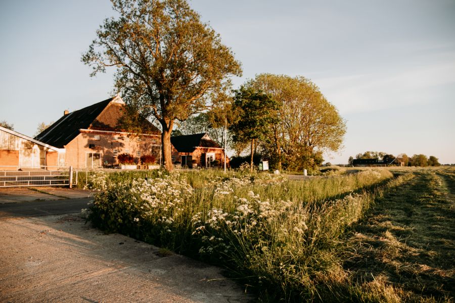 Hayema Heerd in Groningen