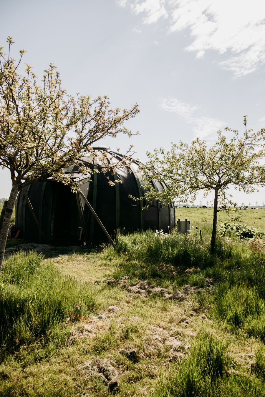 Stro-iglo's Hayema Heerd Groningen