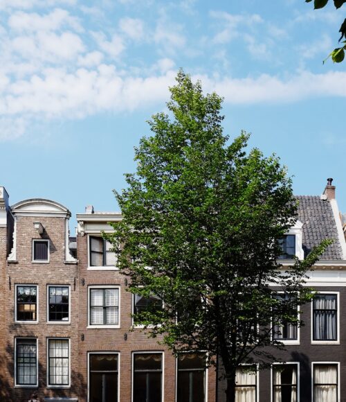 Weekendtips: 24 t/m 25 juli 2021