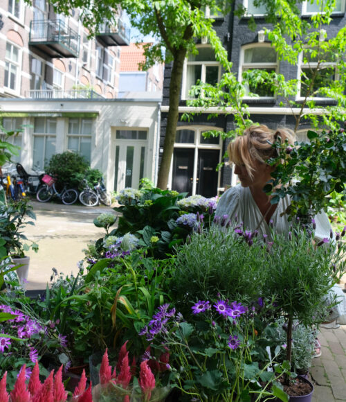 Van grauw naar groen: Dit zijn de how to Tuinklussen (voor de hele buurt) van de maand juni