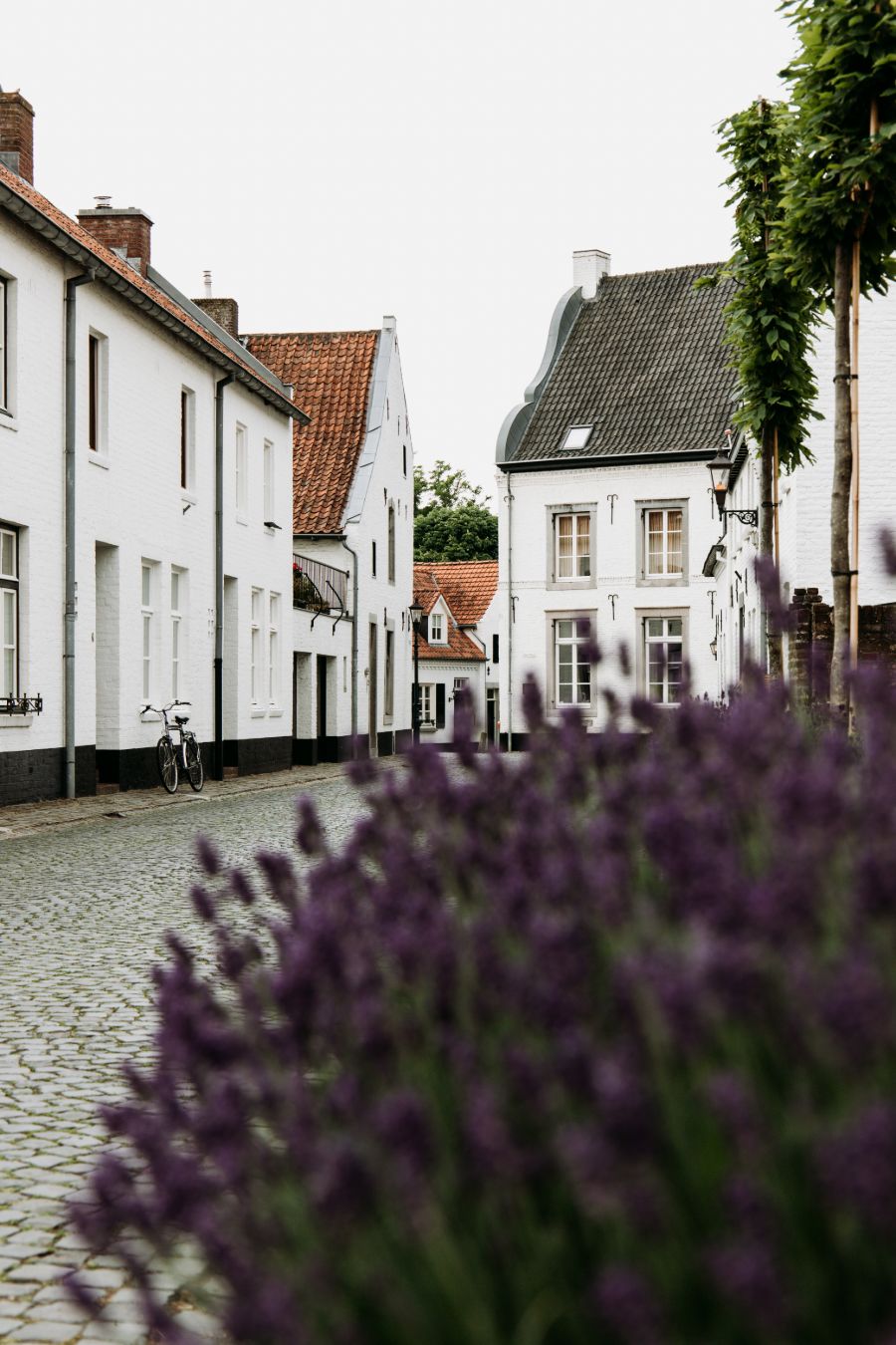 Het witte stadje Thorn