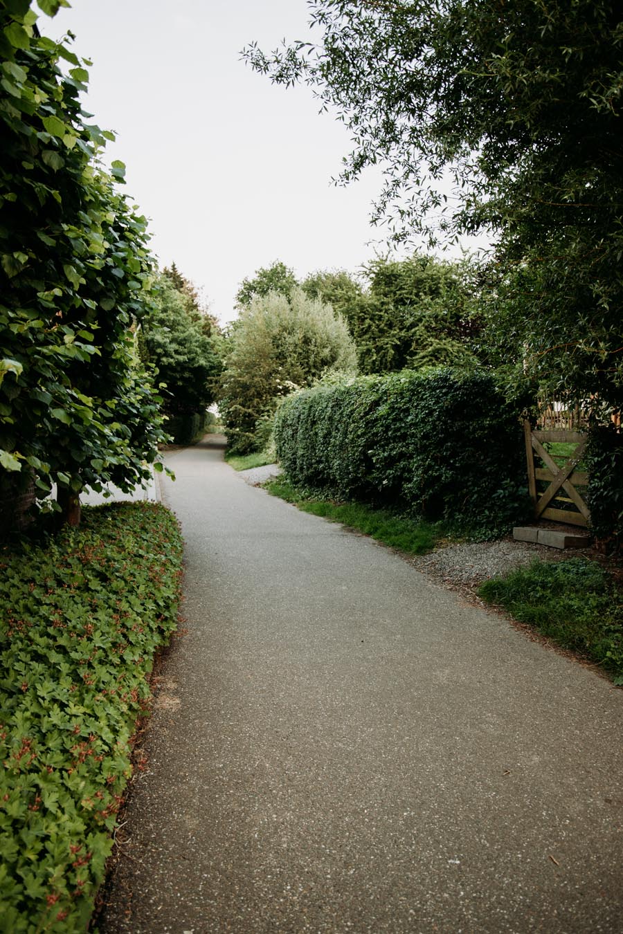 De weide naast het B&B