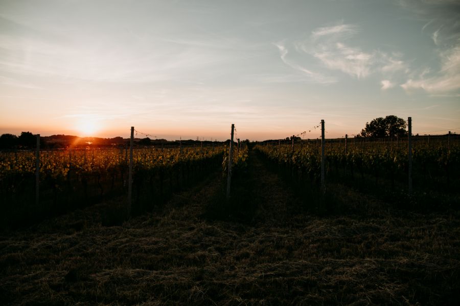 Zonsondergang in Zuid-Limburg
