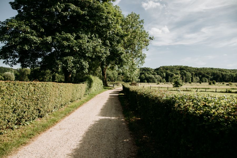 Natuurgebied