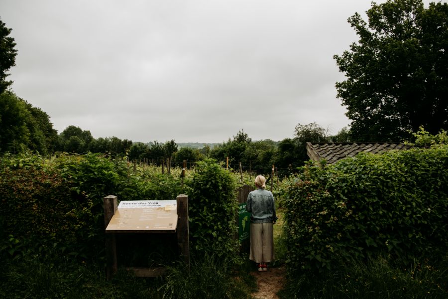 Route des Vins Zuid-Limburg