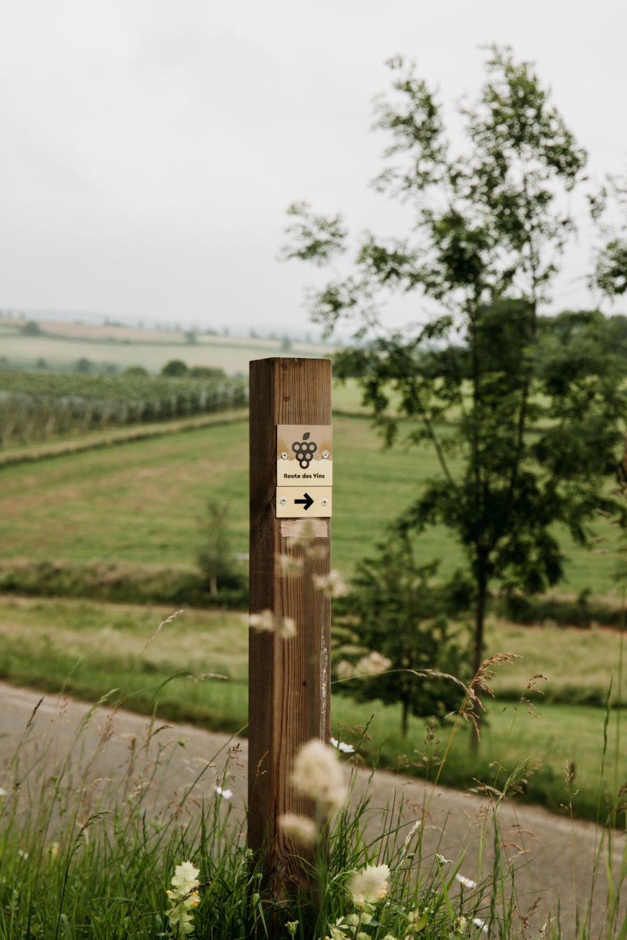 Route des Vins Zuid-Limburg
