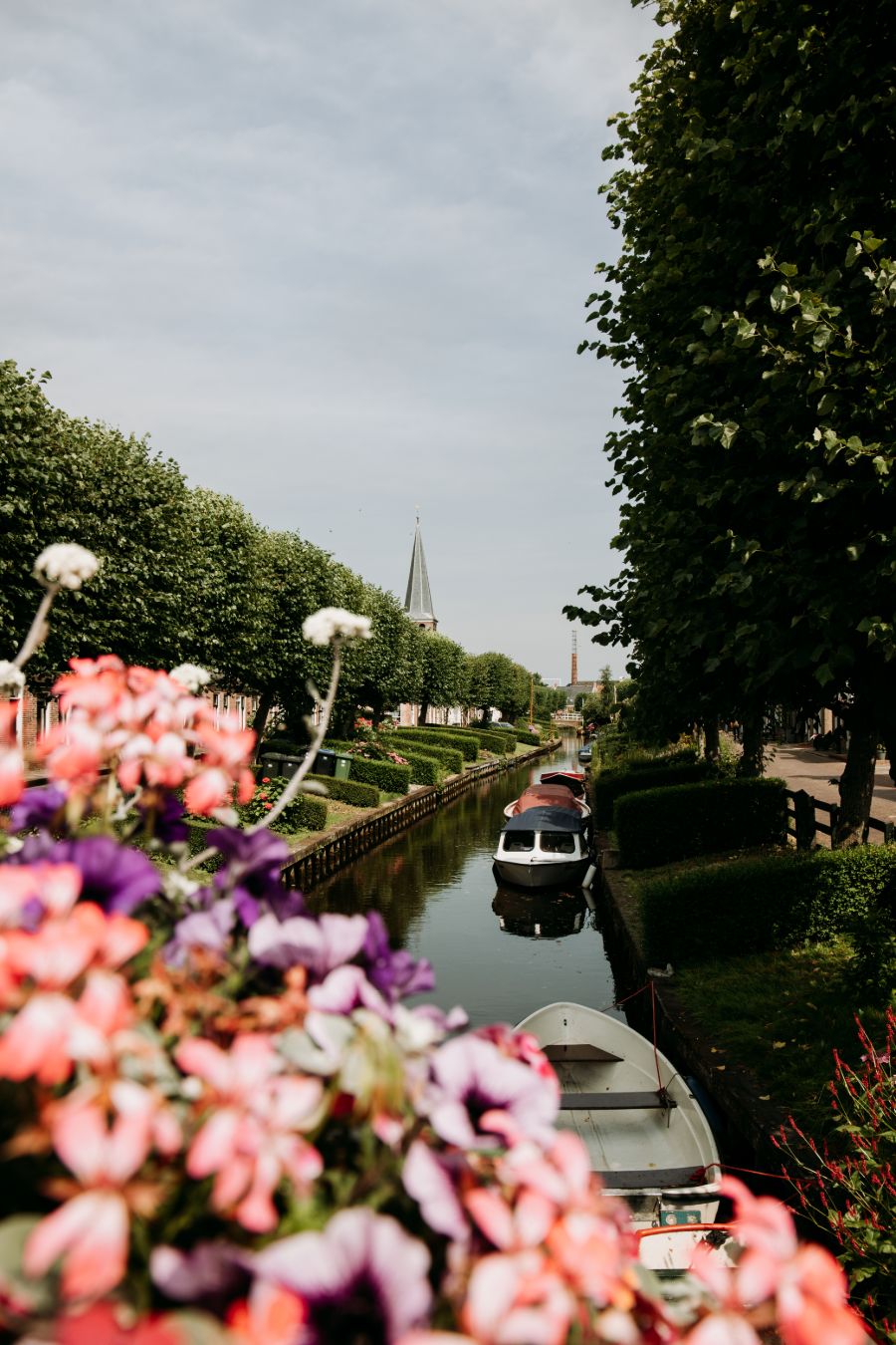 Bloemen in IJlst