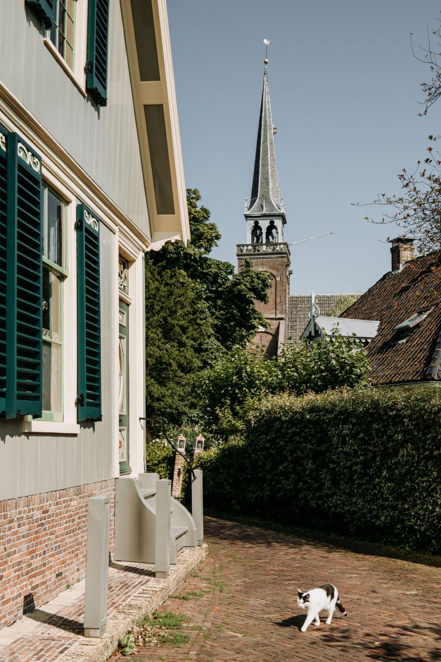 Kat in straat Broek in Waterland