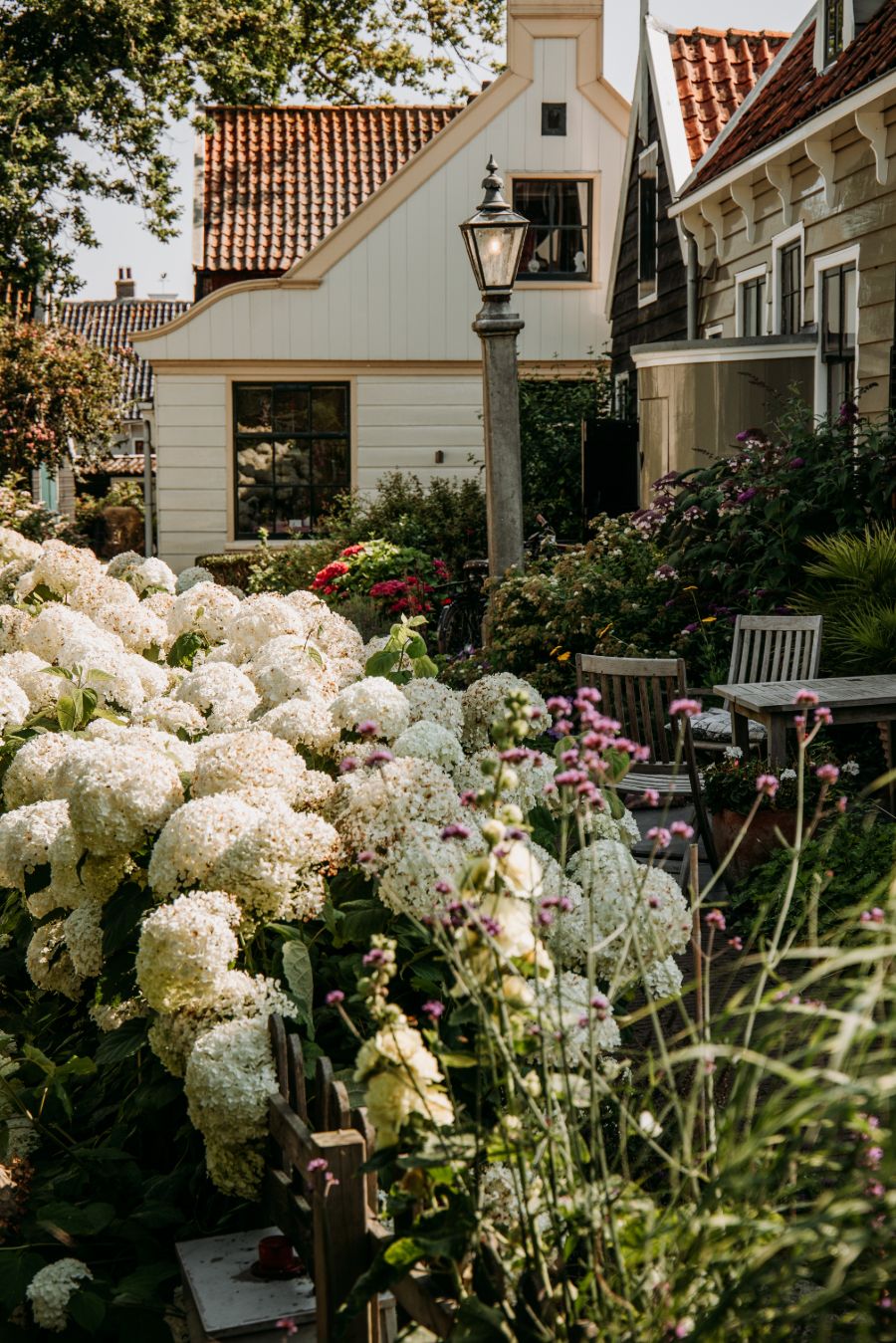 Bloemen in de straat