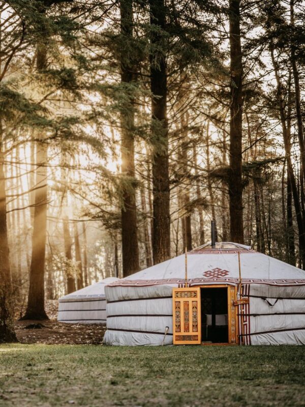 winterwoods yurt