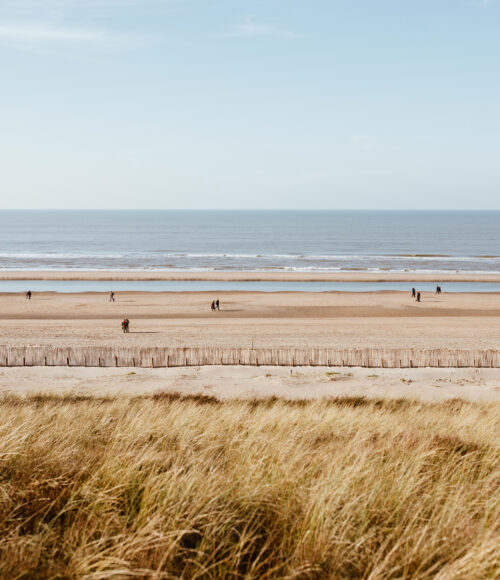 Winterdiptips: supersimpele en basic reminders