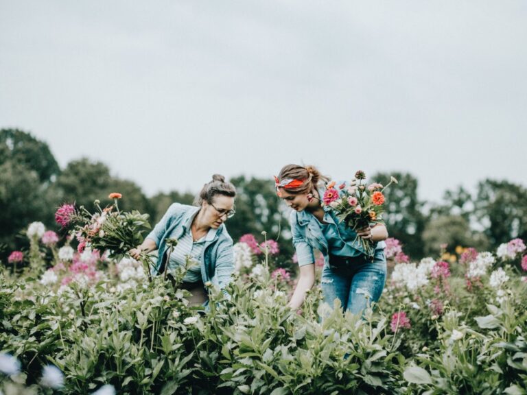 Pluktuinen in Nederland – zelf bloemen en fruit plukken