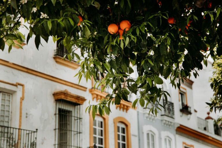 Málaga en Sevilla – citytrippen in Spanje