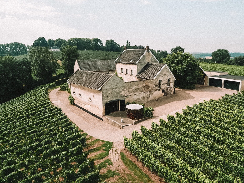 Woning met wijngaard Apostelhoeve in de Limburgse heuvels|Wijnproeverij bij Apostelhoeve|Picknicktafel op Wijngaard de Frysling in Friesland|Wijnflessen te koop bij De Koen|Druiven plukken op wijnboerderij Colonjes in Limburg|Wijngaard De Amsteltuin Amstelveen|De wijngaarden van wijngoed Fromberg