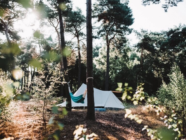 12x de leukste campings in Nederland