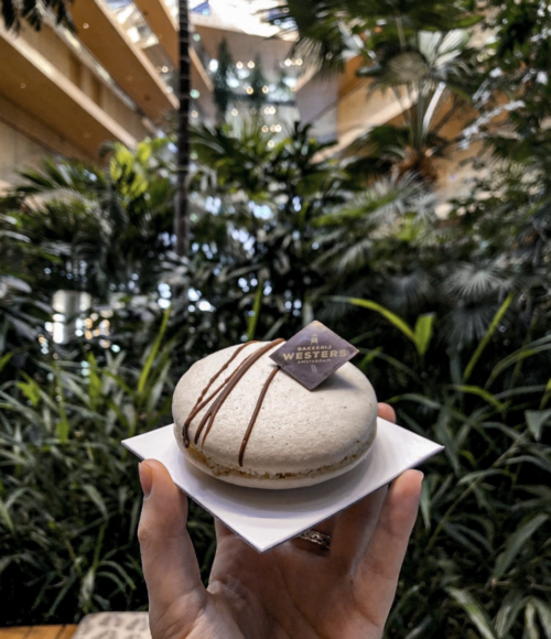 Bakkerij Westers Amsterdam – hidden gem op KNSM eiland (Amsterdam Oost)