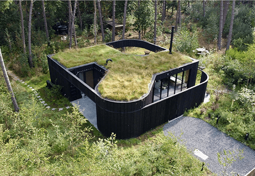 Bosvilla Zwarte Zwaan, een cabin in de natuur in België