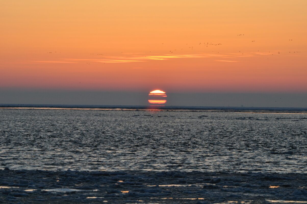 strandtenten vlieland