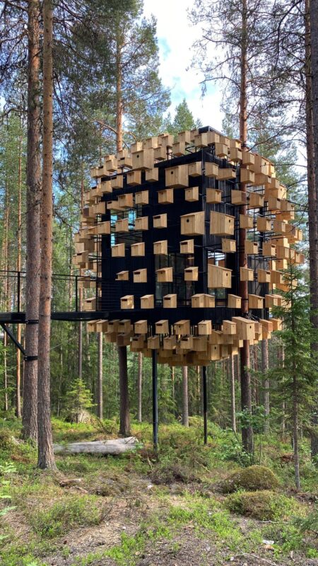 Treehotel Harads Biosphere