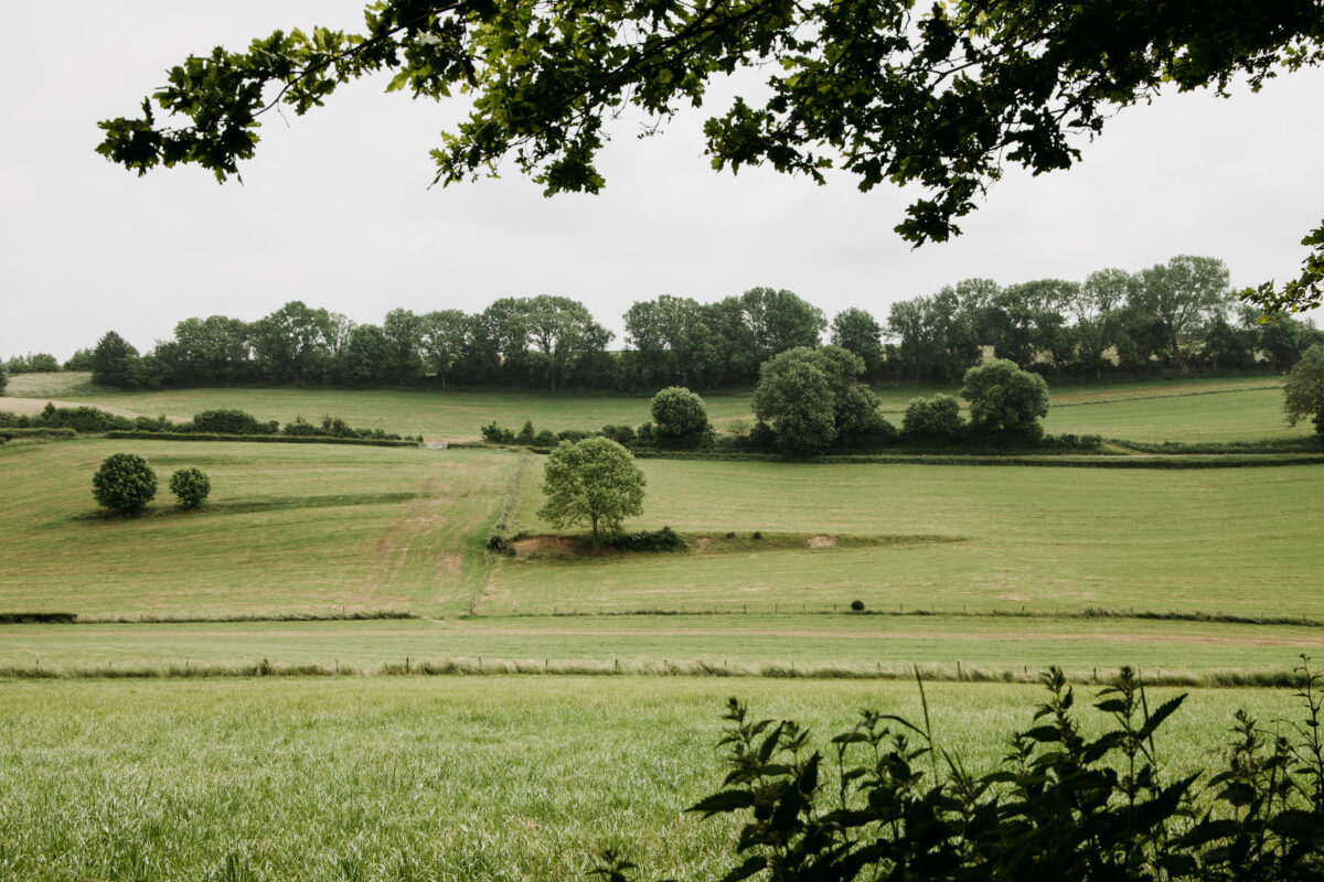 wijnen limburg