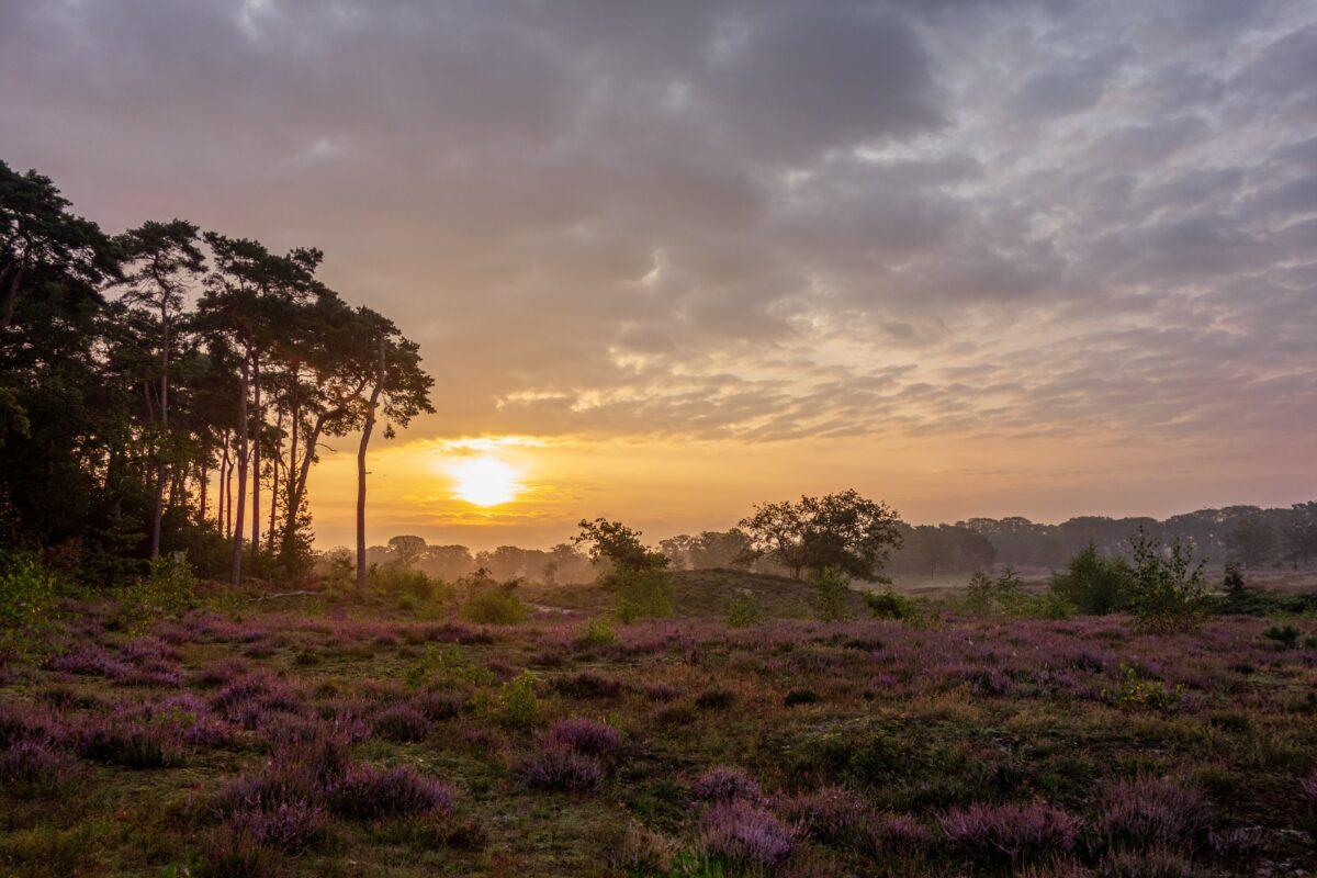 wandelen nederland