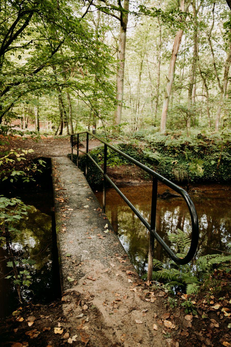 Leudal Midden-Limburg