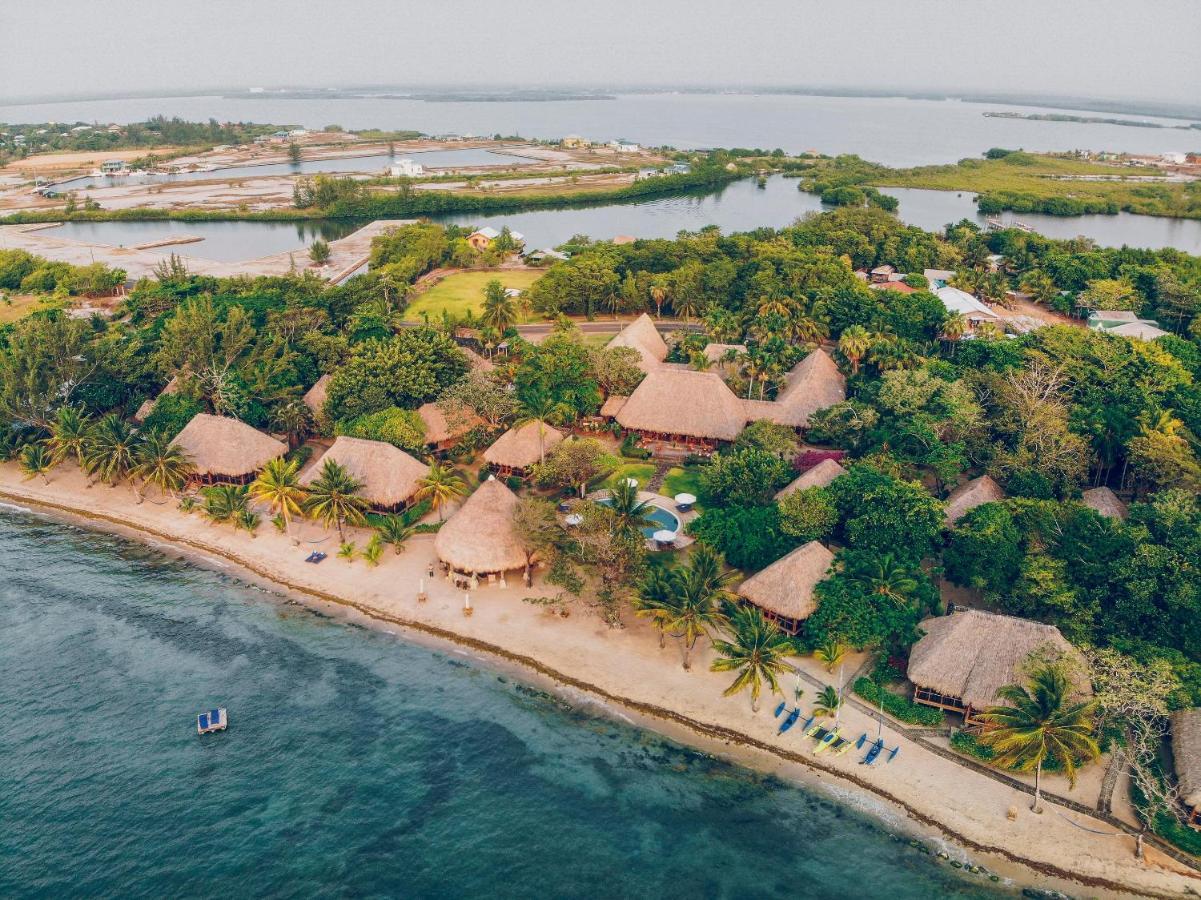 the turtle inn placencia belize