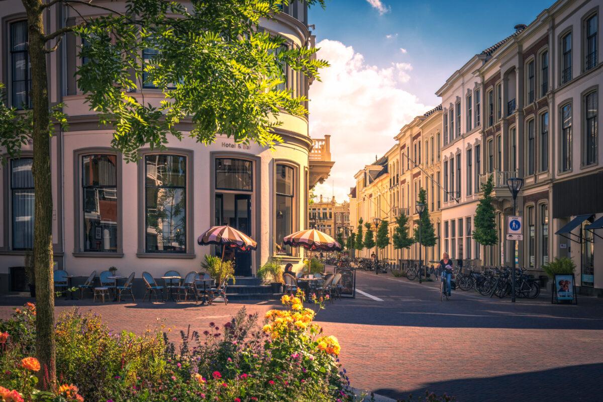 Finch Deventer