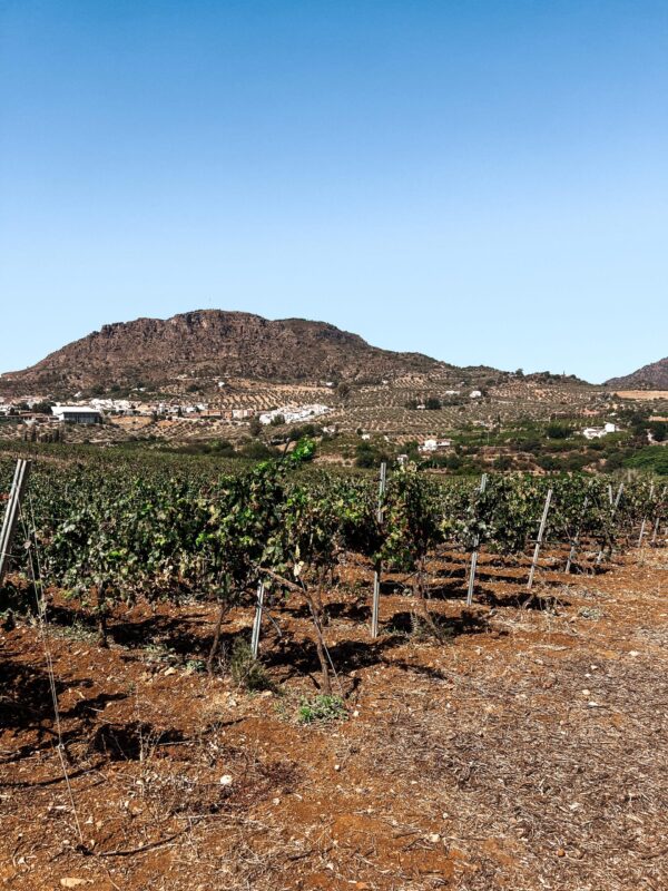 Malaga White House Tour