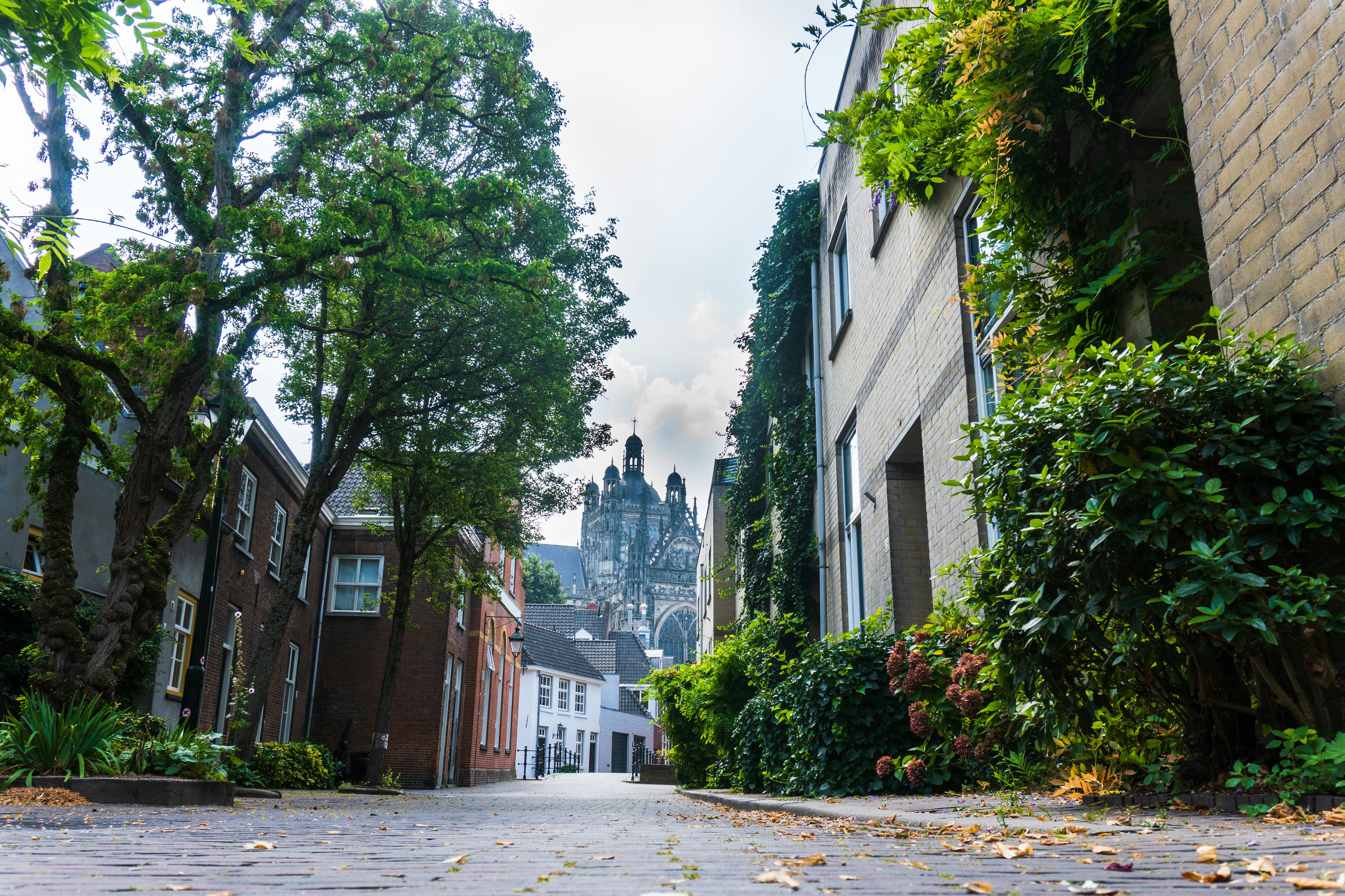 restaurants in Den Bosch