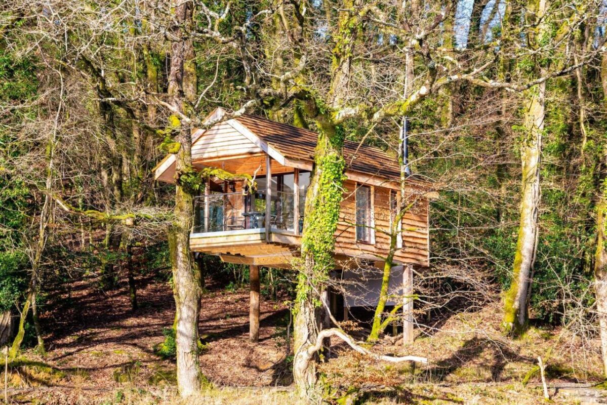 tree-house