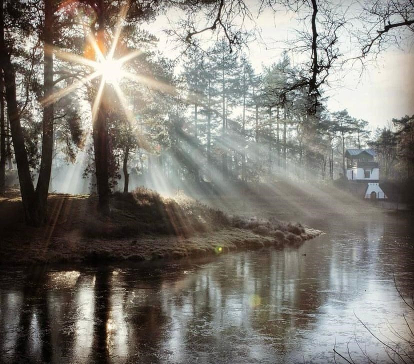 Omgeving Bergse Bossen