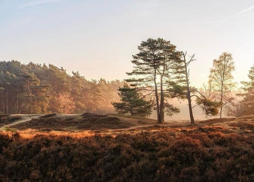 Bergse Bossen, omgeving