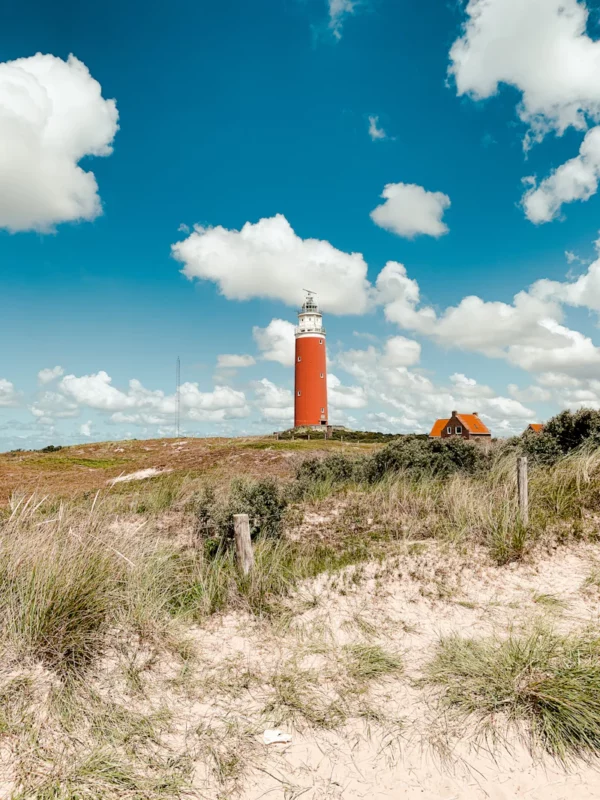 Texel