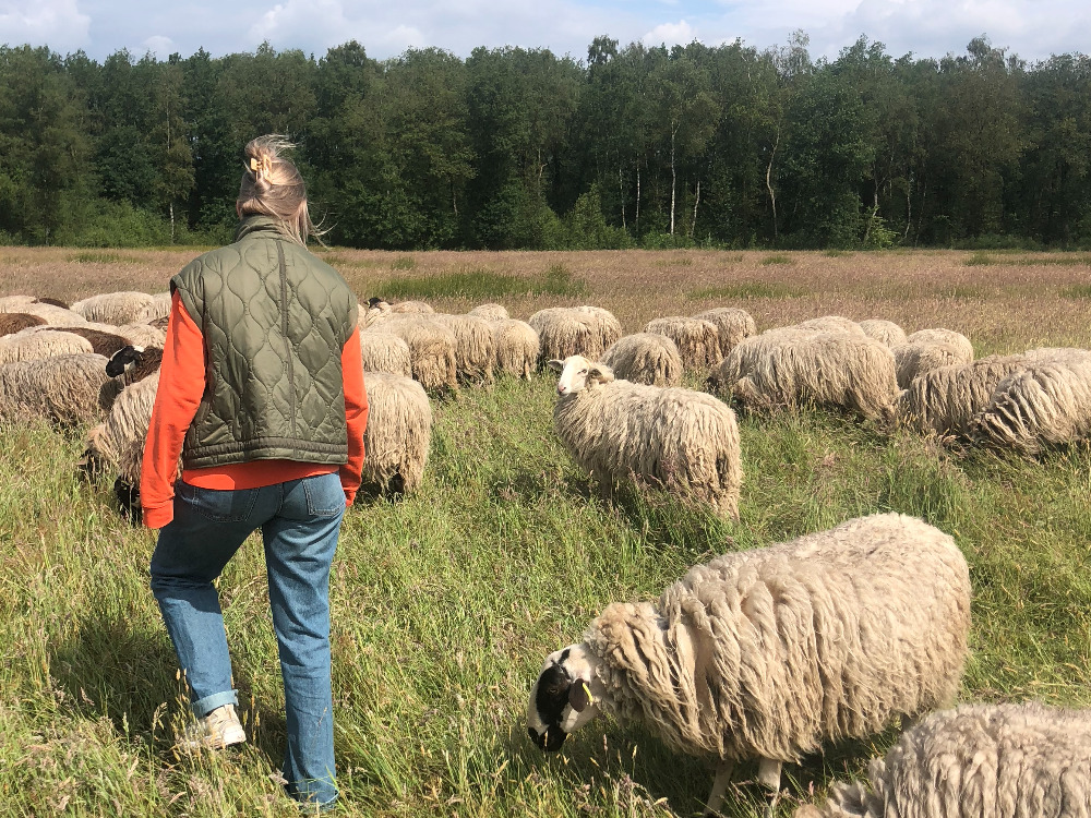 Weekend Drenthe