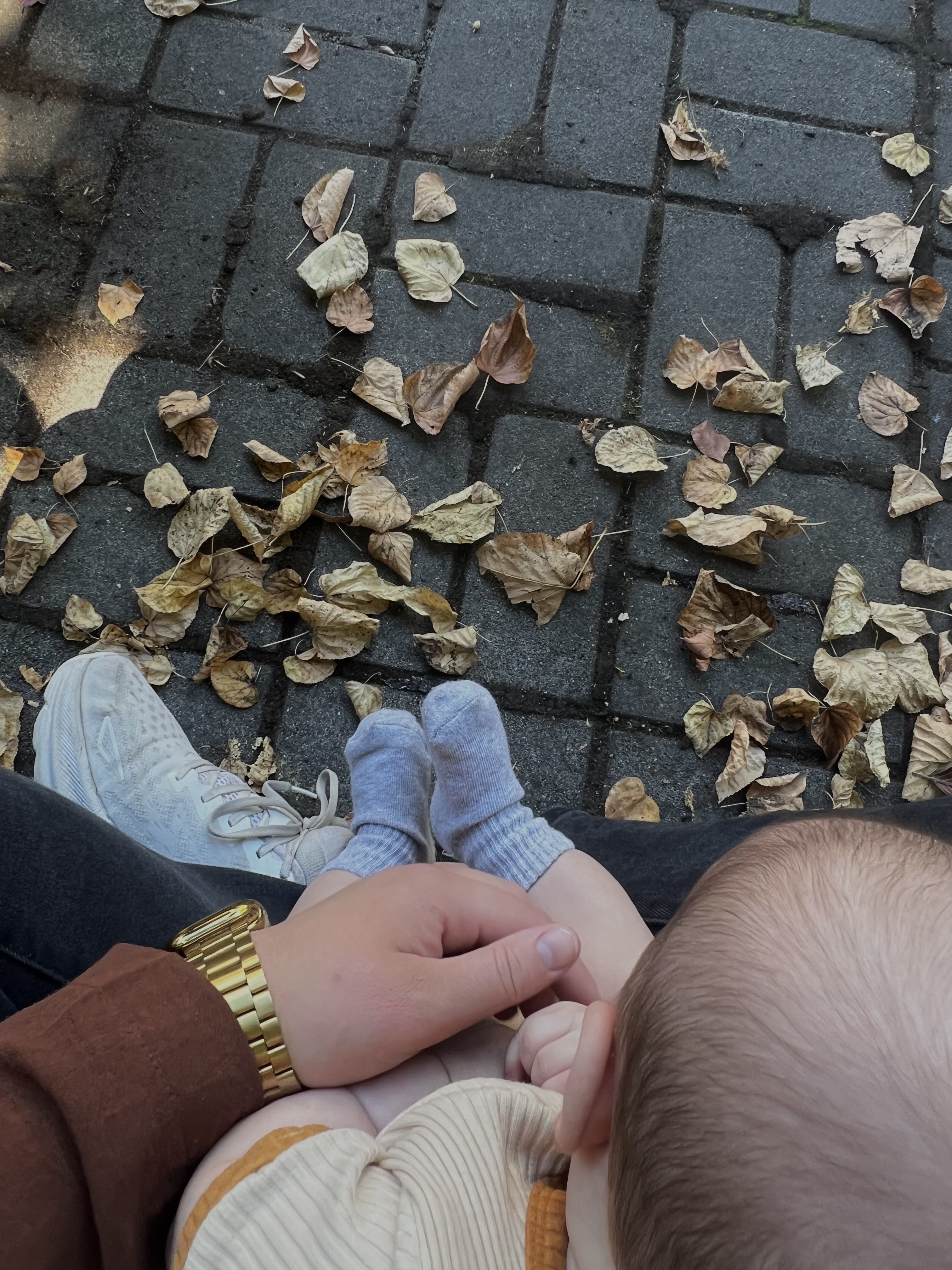 De herfstvakantie in ARTIS